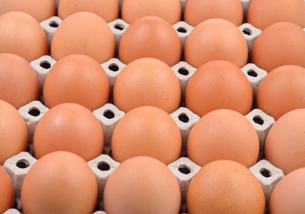 Group of fresh eggs in paper tray