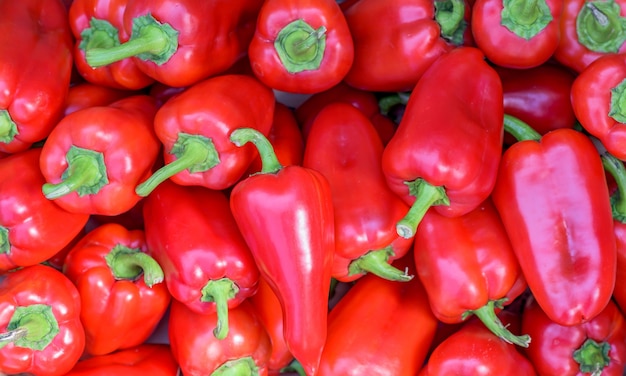 Group of fresh harvested red pepper