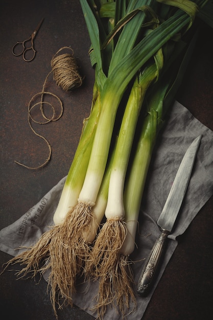 Group of fresh onion vegetable on dark concrete