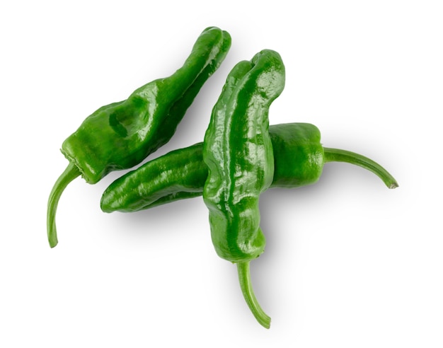 Group of fresh raw green Mediterranean padron peppers isolated