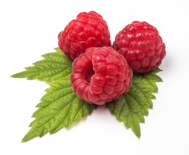 Group of fresh red raspberries with green leaves isolated