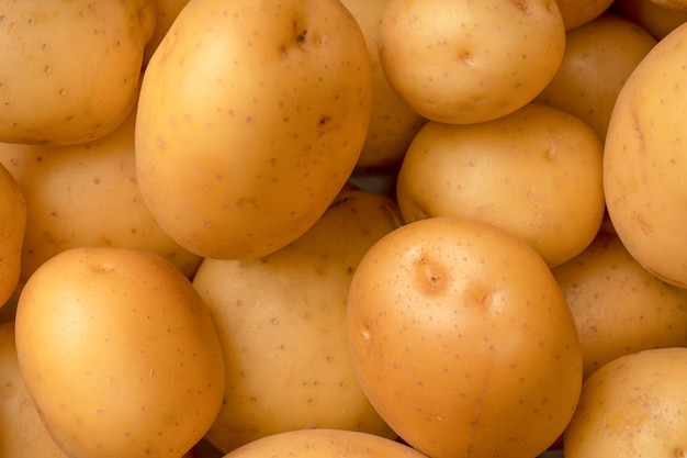 Photo a group of fresh tasty potato as background
