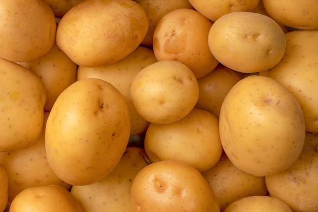 A group of fresh tasty potato as background