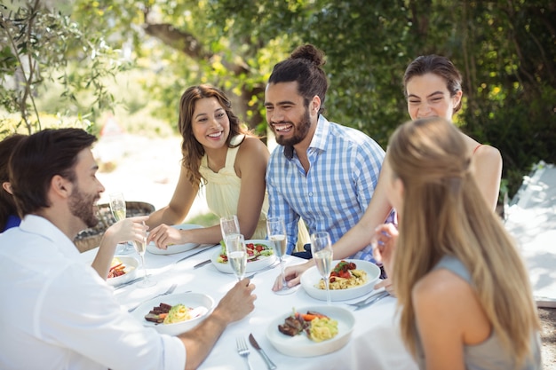 Group of friends having lunch