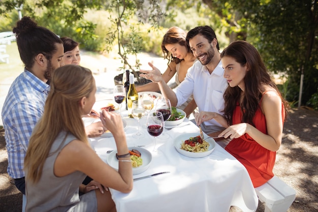 Group of friends having lunch