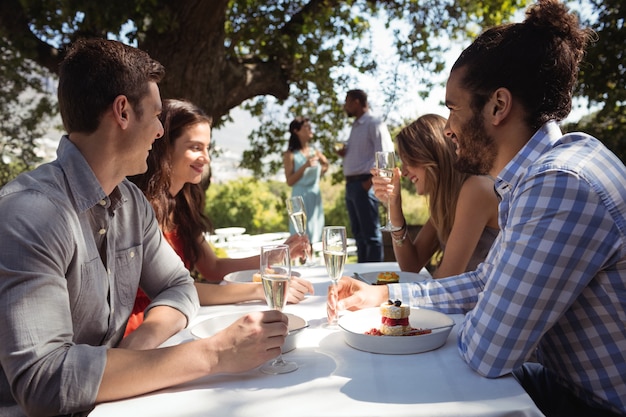 Group of friends having lunch