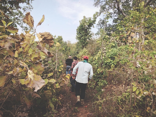 Foto gruppo di amici che camminano su un sentiero nella foresta