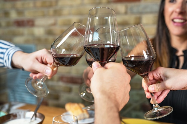 Group of friends holding the glasses of wine making a\
toast.