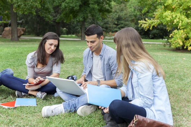 Gruppo di amici che studiano insieme in un parco