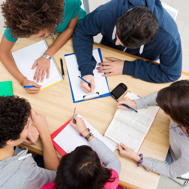 Gruppo di amici che studiano insieme