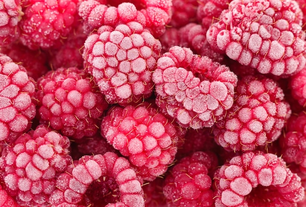 Group of frozen raspberries