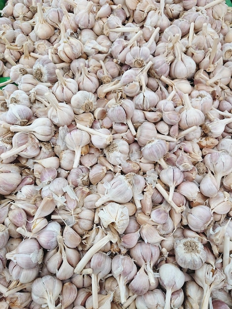 Group of Garlic in market closeup