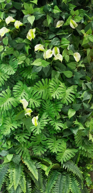 Group of green leaf background