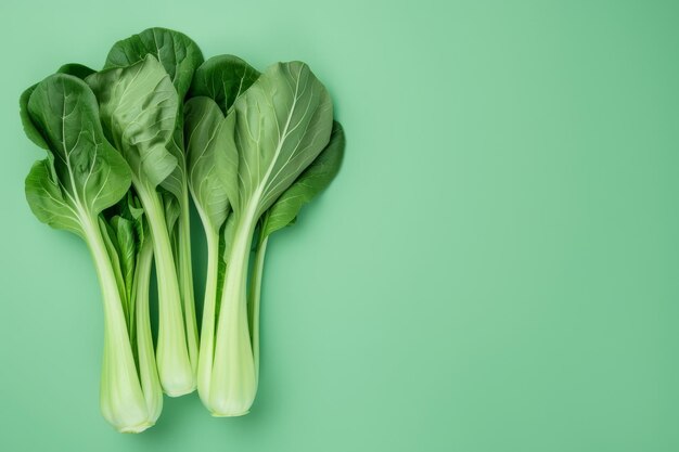 Group of Green Leafy Vegetables on Green Background