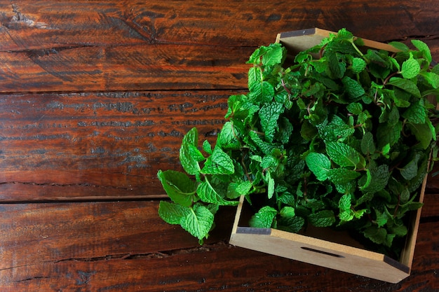 Group of green organic fresh mint in basket over rustic wooden desk