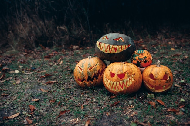 Foto gruppo di zucche di halloween