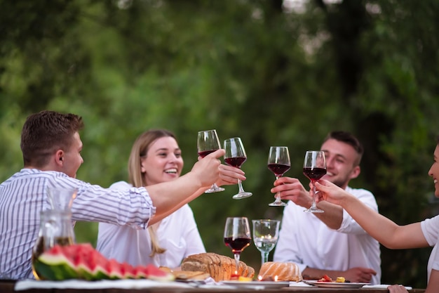 group of happy friends toasting red wine glass while having picnic french dinner party outdoor during summer holiday vacation  near the river at beautiful nature