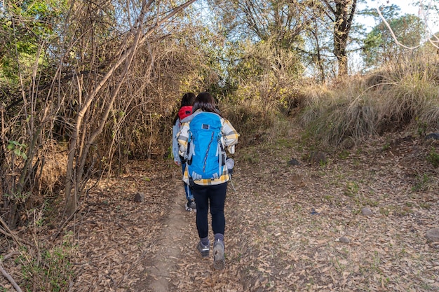 Foto gruppo di escursionisti guidati da una guida locale che esplorano la natura e imparano sull'ecoturismo e la conservazione escursionismo conservazione ecoturismo concetto di ecoturismo