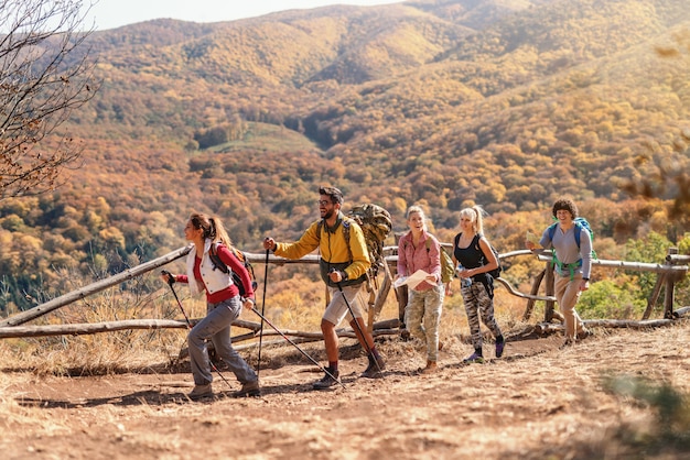 Group of hikers walking in row and exploring nature. Autumn time.