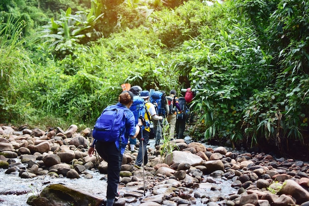 group of hiking walk in the forest to mountain peak.