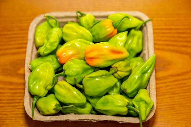 Photo group of hot pepper capsicum chinense adjuma in selective focus and detail quotpimenta de cheiroquot