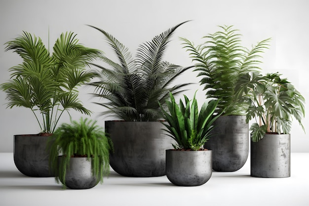 a group of houseplants in concrete pots