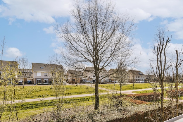 A group of houses in front of a tree