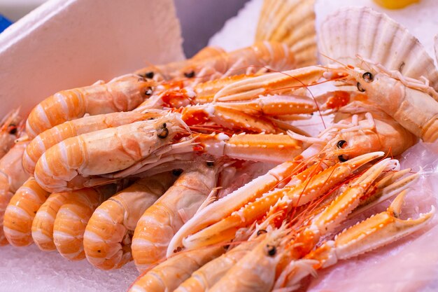 Group of langoustines also known as scampi