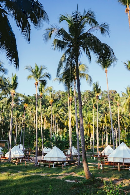 Group of luxury tents in the middle of the Jungle. Exotic beach in Thailand hidden islands