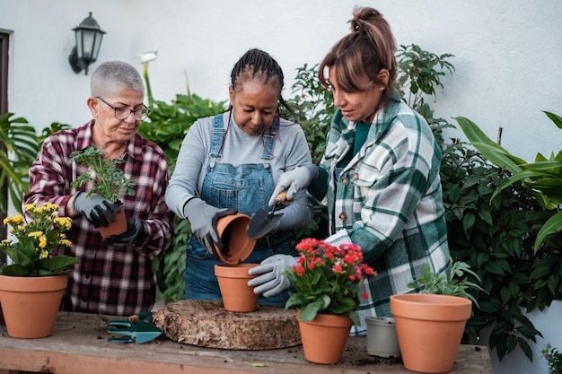 Group of middleaged women doing a gardening course together and happy Concept gardening botany fun