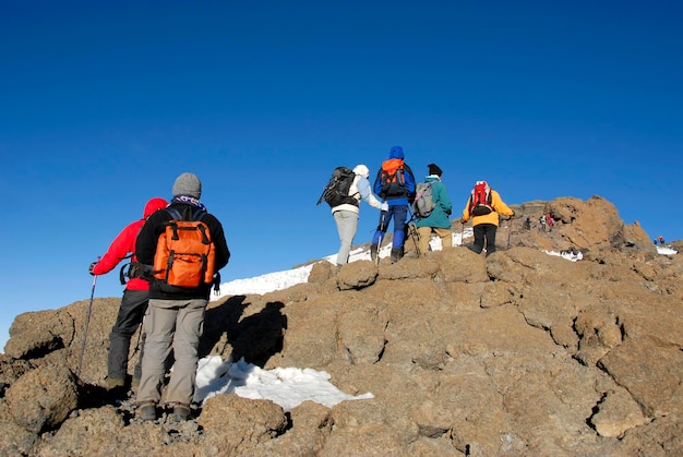 Group of mountaineers climbs up Uhuru Peak crater rim Kilimanjaro Tanzania