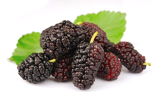 group of mulberry with leafs on a white background close up