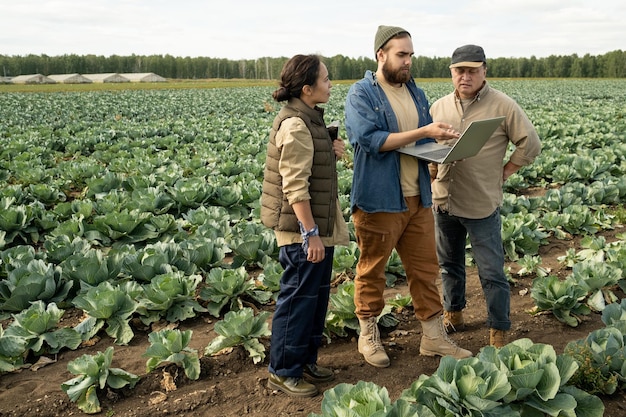 Group of multiethnic agroengineers standing on plantation and using laptop while discussing cultivat...