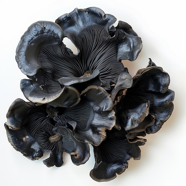 Photo a group of mushrooms that are on a table