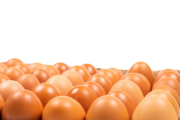 Группа коричневых яиц, изолированные на белом. скопируйте пространство.