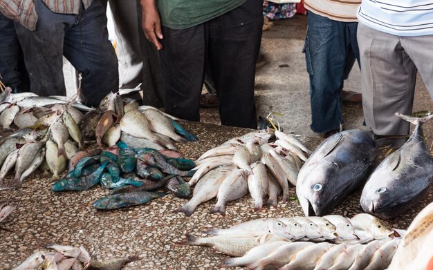 写真 魚市場で集まった人々