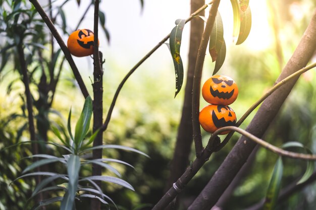 Foto il gruppo di arance affronta la pittura con spaventoso il giorno della festa di halloween al ramo.