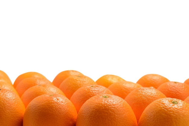 Gruppo di arance in una riga isolata su sfondo bianco, spazio per testo o design.