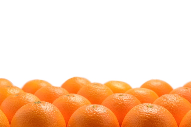 Group of oranges in a row isolated on white surface