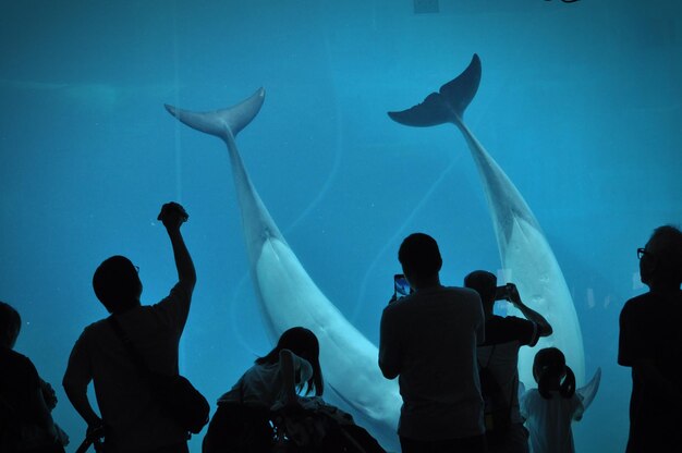 Photo group of people at aquarium