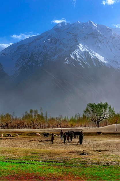 A group of people are standing in a field with mountains in the background.