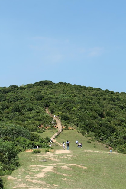 A group of people are walking up a hill with a hill in the background Tap Mun Grass Island hong kong