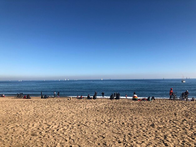 Group of people on beach against clear sky