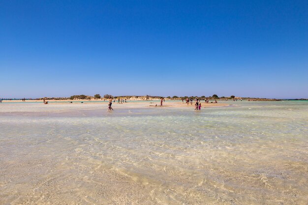 Photo group of people on beach