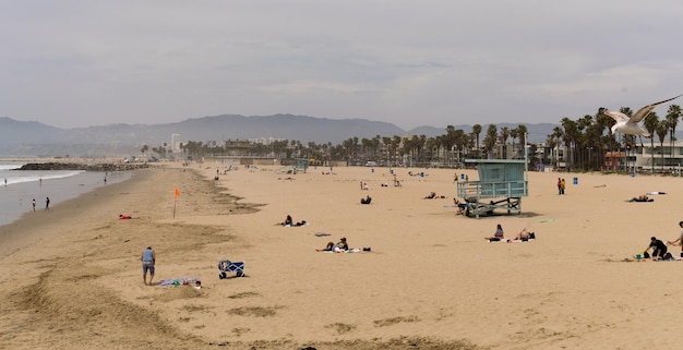 Group of people on beach