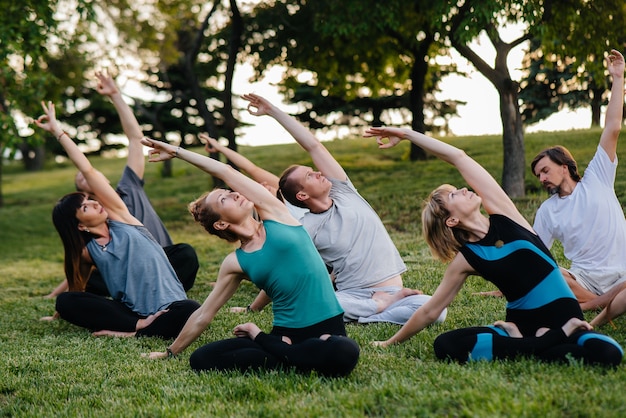 A group of people doing yoga in the Park