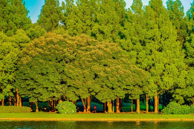 Photo group of people in forest