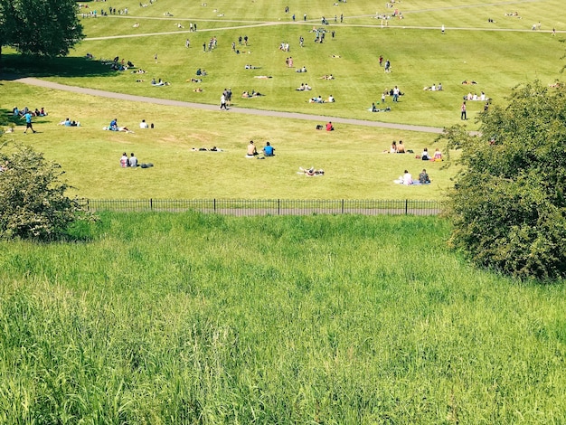 Group of people on grassy field