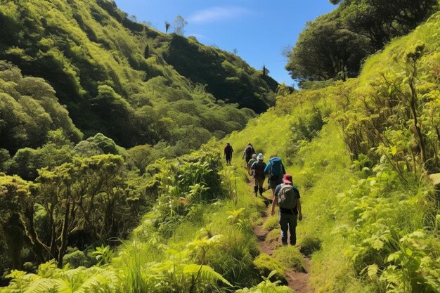 A group of people hiking on a trail in the mountains.