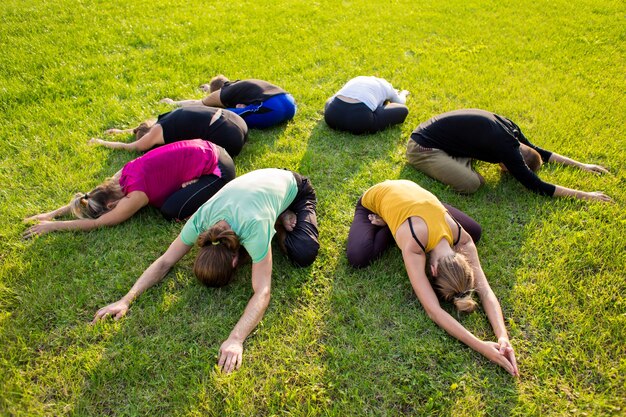 Photo a group of people in a lotus pose on a green lawn in the park